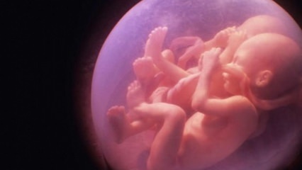 Ak sú v rodine dvojčatá, zvýši sa pravdepodobnosť dvojitého tehotenstva, bude táto generácia koňmi? Na koho závisí tehotenstvo dvojčiat?