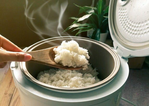 Aké sú rysy baldo ryže