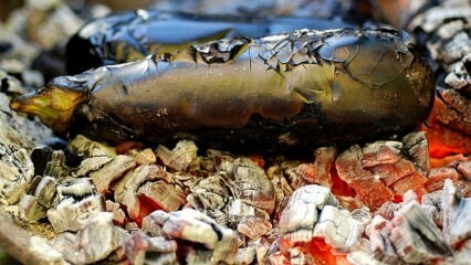 Ako stravovať so zapaľovaním baklažánu? Zázrak 3-dňového praženého baklažánu