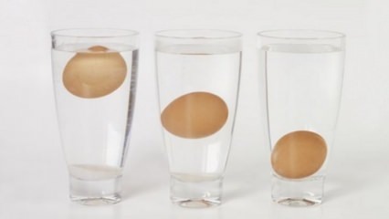 Ako rozumieť zatuchnutým vajcom?