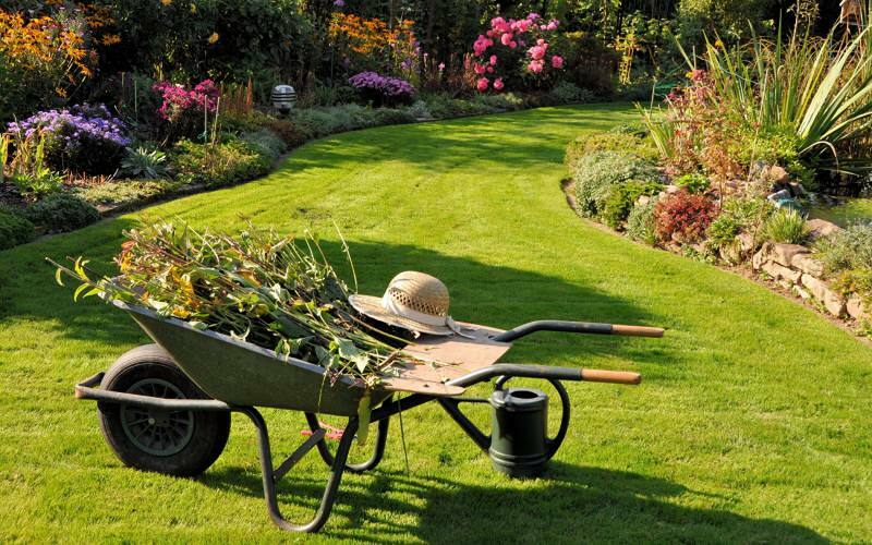 Ako sa vykonáva čistenie záhrady? Návrhy na čistenie záhrady a poriadok!