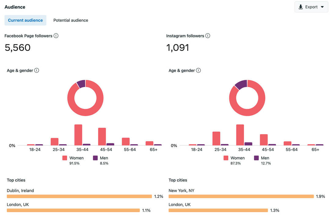 ako-vykonat-rocny-audit-na-sociálnych-médií-kontrola-publika-metriky-business-suite-demografia-polohy-facebookove-stranky-instagram-účty-príklad-7