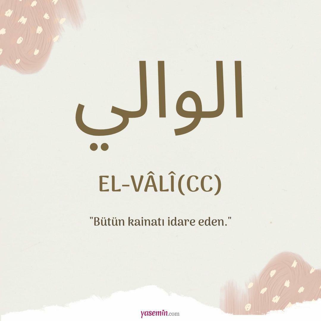 Čo znamená al-Vali (c.c)?