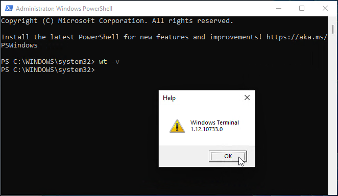 verzia terminálu systému Windows