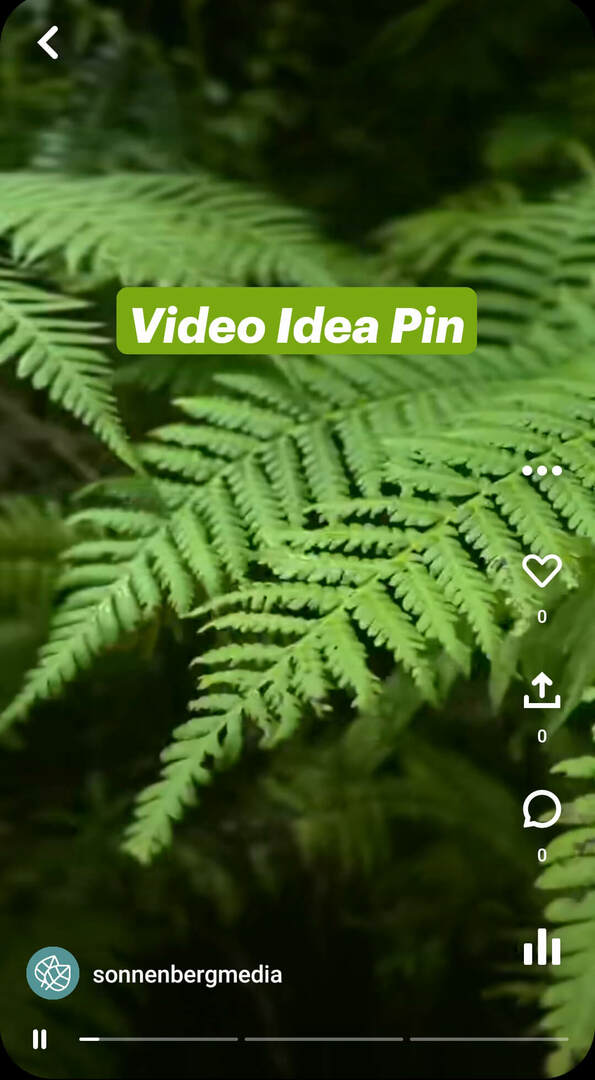co-su-pinterest-idea-pine-sonnenbergmedia-video-pin-example-1