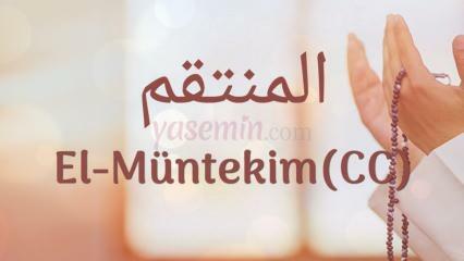 Čo znamená Al-Muntakim (c.c)? Aké sú prednosti Al-Muntakima (c.c.)?