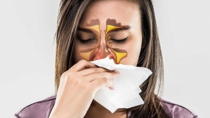 Čo je to alergia? Aké sú príznaky alergickej nádchy? Koľko druhov alergií existuje? 
