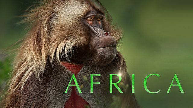 Afrika / Afrika (2013)