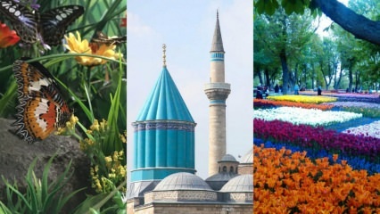 Cestovný sprievodca v Konya