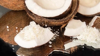Ako rezať kokos je najpraktickejšie?