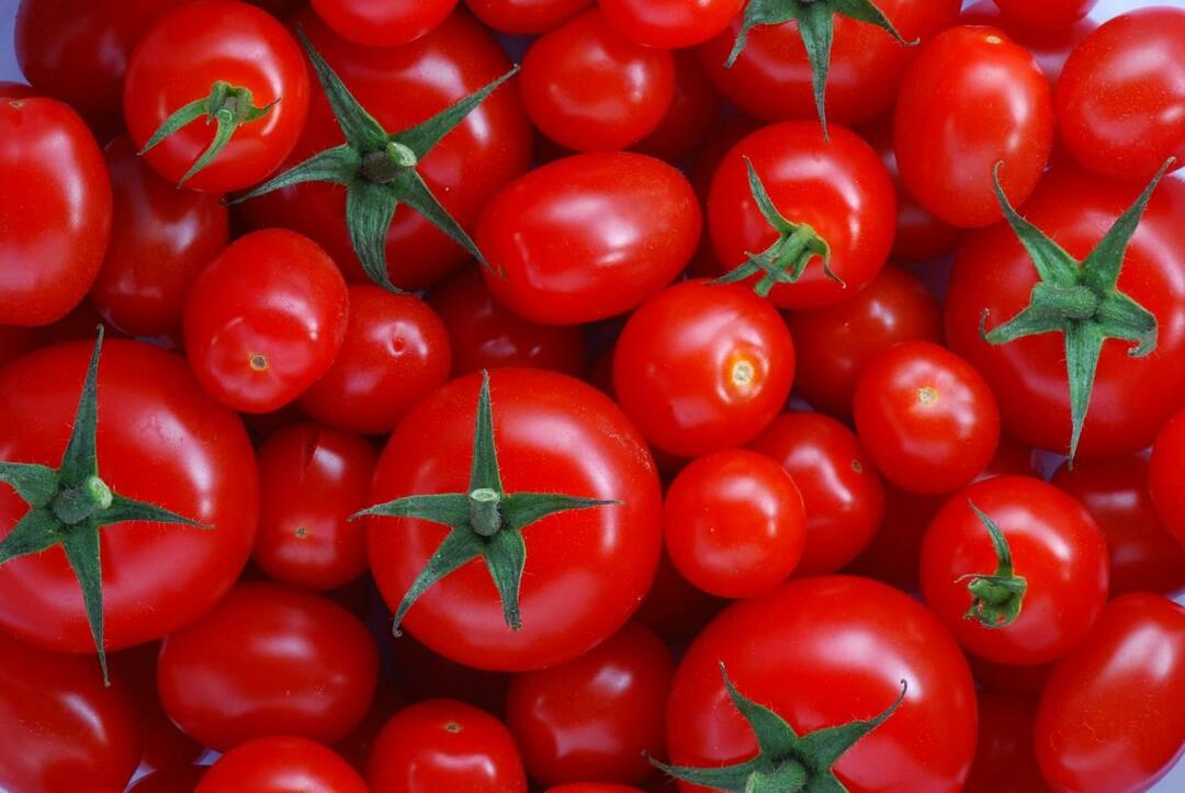 Ako si vybrať paradajky menemenlik