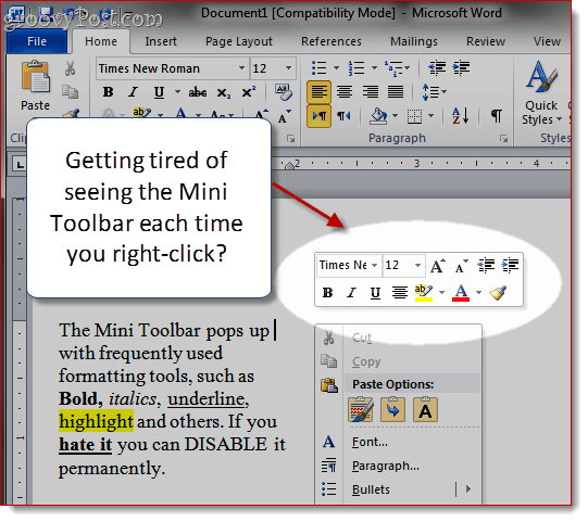 Odstráňte Mini-Toolbar v programoch Word 2007 a Word 2010