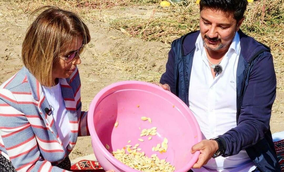 Tekvicové semienka na občerstvenie boli zozbierané v Nevşehire!