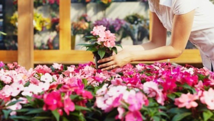 Ako zabrániť zalievaniu kvetov v kvetináči? Praktická metóda ...