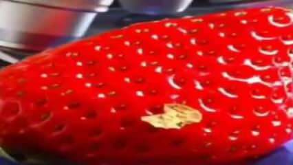 Strawberry video, ktoré označuje sociálne médiá! Jahodu už do úst nedáte.