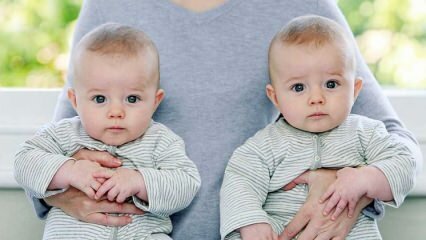 Rozdiely medzi identickými a bratskými dvojčatami