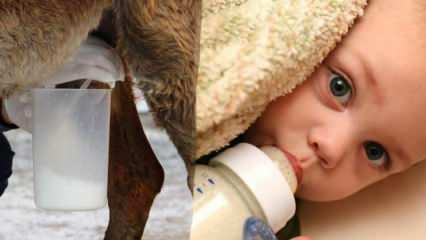 Ktoré mlieko je najbližšie k materskému mlieku? Čo sa dieťaťu podáva s nedostatkom materského mlieka?