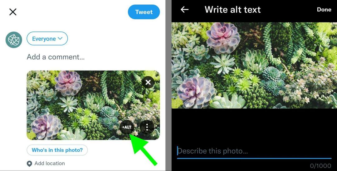 ako-optimalizovať-obrázky-sociálnych-médií-vyhľadať-twitter-alt-text-príklad-24
