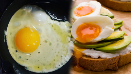 Ktoré oleje sú prospešné pre naše zdravie? Ak konzumujete menej uvarené vajíčko ...