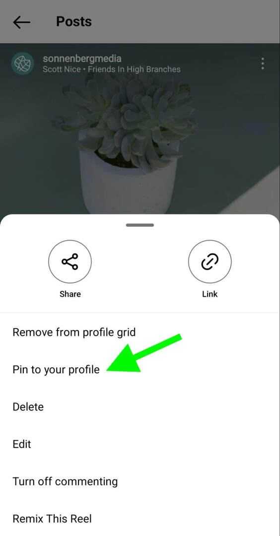ako-na-instagram-pin-reels-profile-grid-sonnenbergmedia-step-1