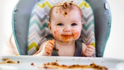 Aké sú krmivá pre dojčatá?