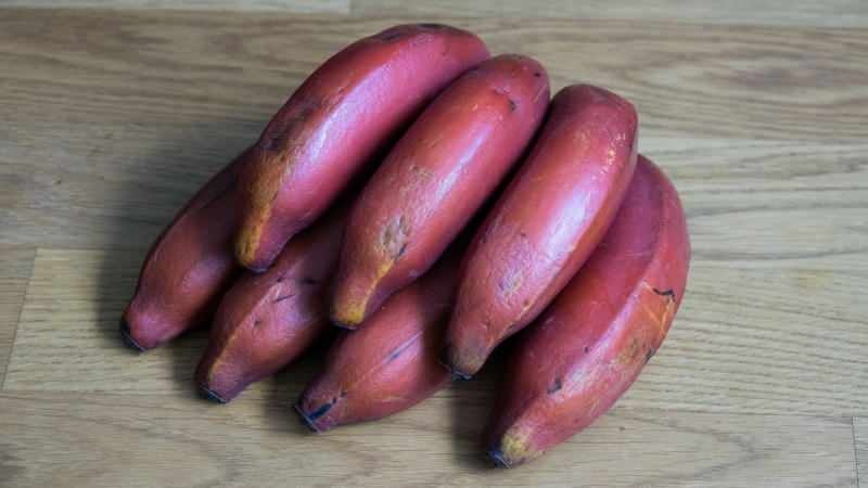 červené banány dozrievajú fialovo