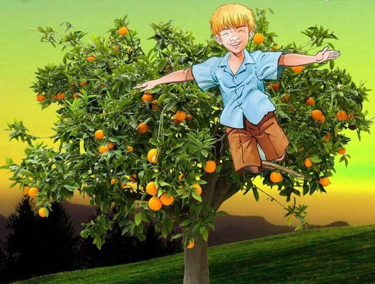 Čo vám hovorí Cukrový pomaranč?