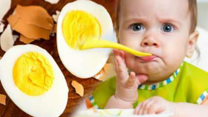 Ako by sa mali žĺtky podávať deťom? Koľko mesiacov začať vajce? Recept na detské vajce