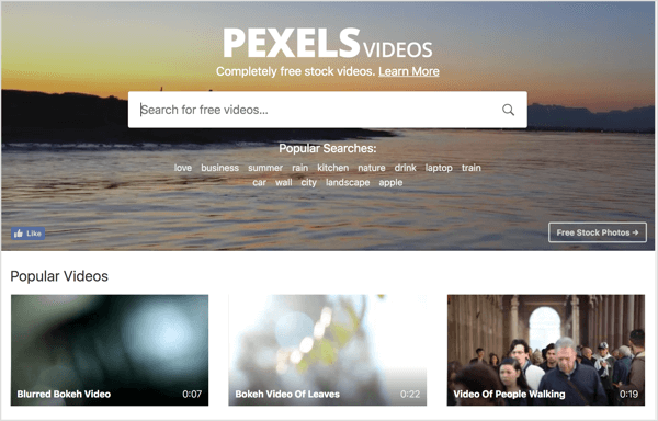 Pexels ponúka bezplatné videozáznamy, ktoré môžete použiť vo svojich videoreklamách LinkedIn.