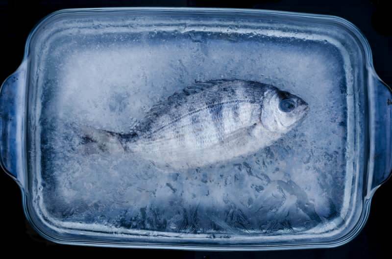 Koľko dní by sa mali ryby v mrazničke skonzumovať?