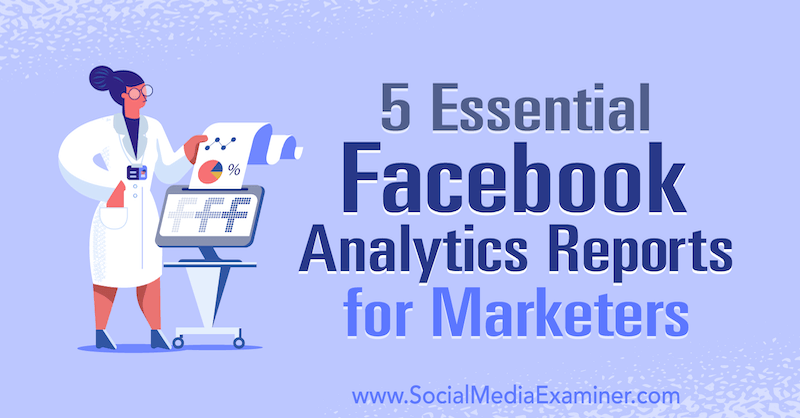 5 základných správ o analýze Facebooku pre obchodníkov, autorka Mariia Bocheva, referentka sociálnych médií.