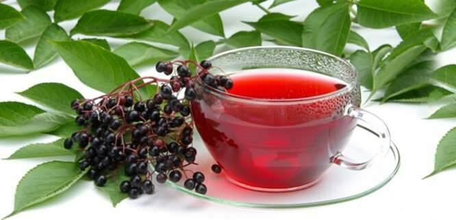 Čaj bez čaju poskytuje neuveriteľné výhody pre imunitný systém