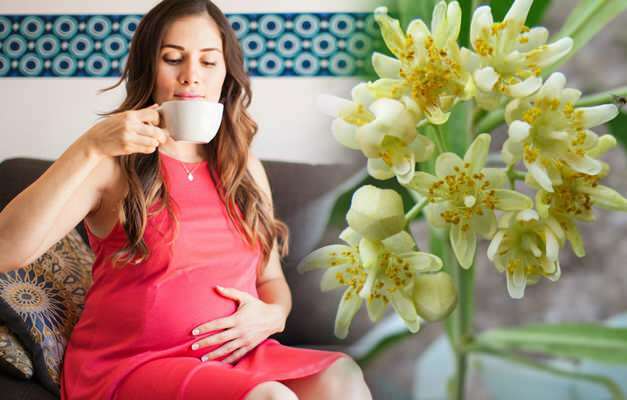 Je bylinný čaj opitý počas tehotenstva? Rizikové bylinné čaje počas tehotenstva