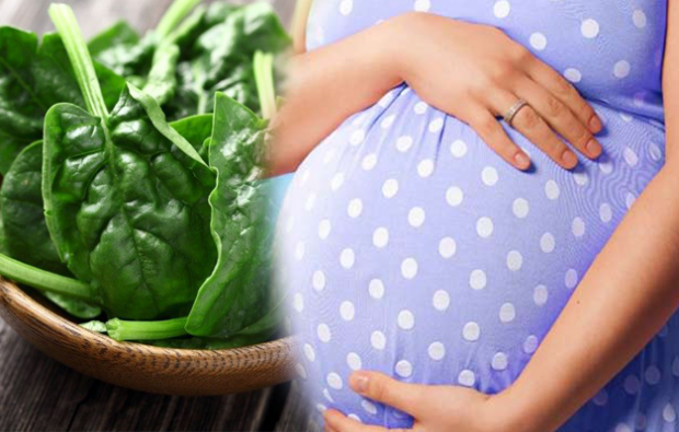spotreba kyseliny listovej v tehotenstve