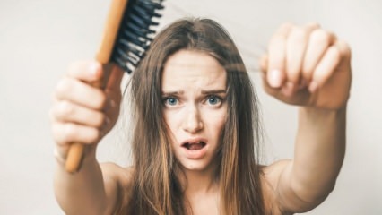Aké potraviny zabraňujú vypadávaniu vlasov?