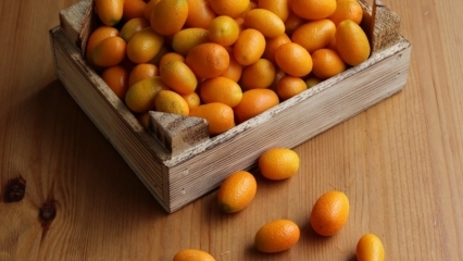 Aké sú prínosy Kumquatu (Kumkat)? Na ktoré choroby je kumquat dobrý? Ako sa kumquat konzumuje?
