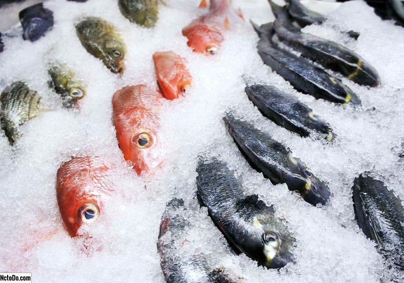 Ako skladovať ryby v mrazničke