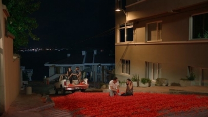 Návrh manželstva Onur Tuna so 100 tisíc ružovými listami!