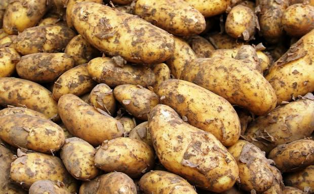Čo robí zemiaková šťava?