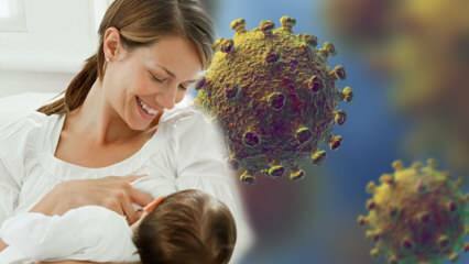 Prechádza koronavírus z mlieka na dieťa? Pozornosť pre nastávajúce matky počas pandemického procesu! 