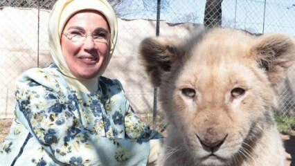 Prvá dáma Erdoğan urobila fotografiu s levmi