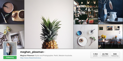 instagramový profil meghan oráčka