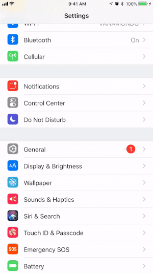 Pridajte funkciu Nahrávanie obrazovky do ovládacieho centra vášho zariadenia so systémom iOS.