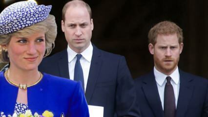 Vinu princov na BBC... Princ William: Tento rozhovor rozdelil našu rodinu!