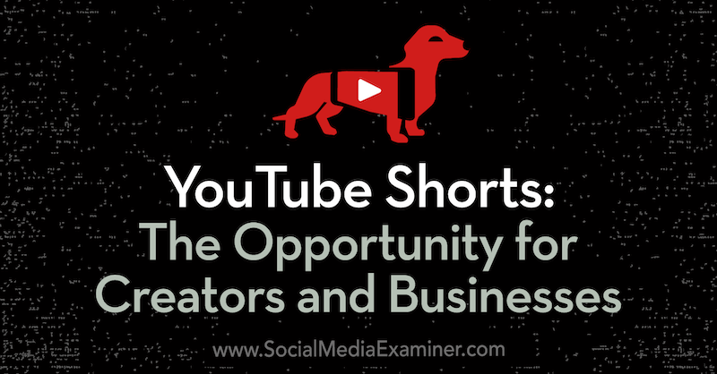 Šortky na YouTube: Príležitosť pre autorov a firmy: Vyšetrovateľ v sociálnych sieťach