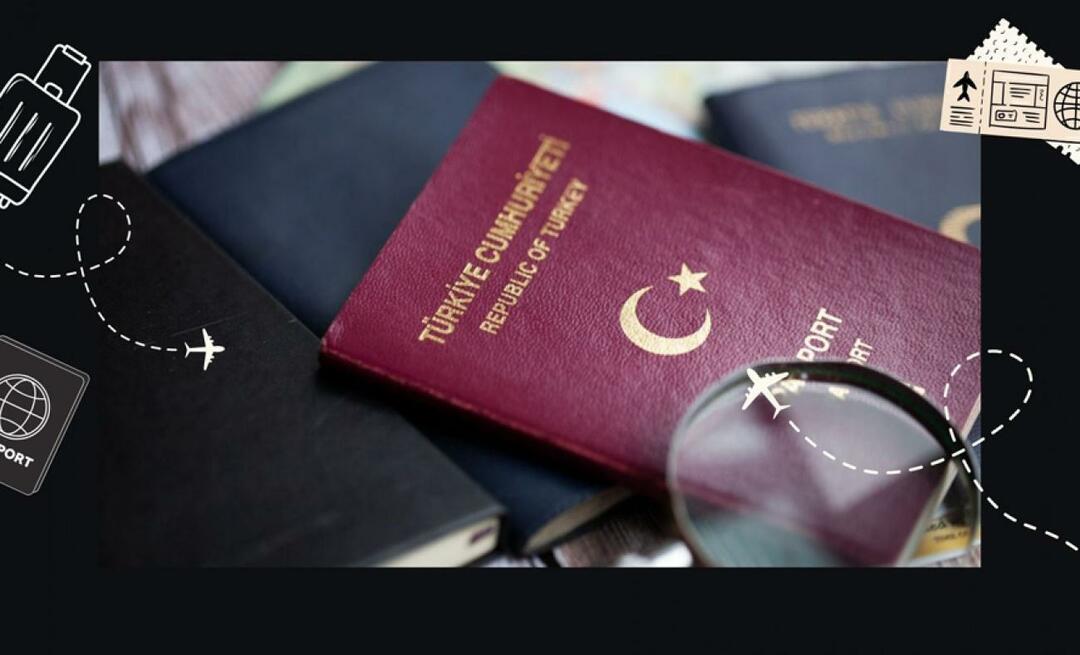 Aké sú typy pasov? Ktorý pas je lepší? Význam farieb pasu