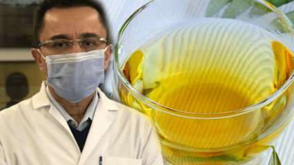 Zázračný čaj proti vírusu: Aké výhody má čaj z olivových listov? Príprava čaju z olivových listov