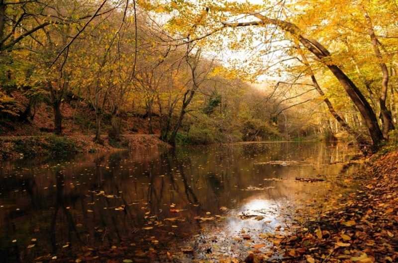 Jesenná túra v belehradskom lese