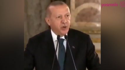Prezident Erdoğan: Umelci, ktorí naliali svoju politickú stránku do polemiky, nás naštvali