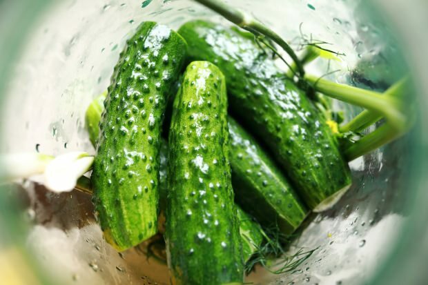 Ako vyrobiť uhorky uhorky doma? Triky morenia